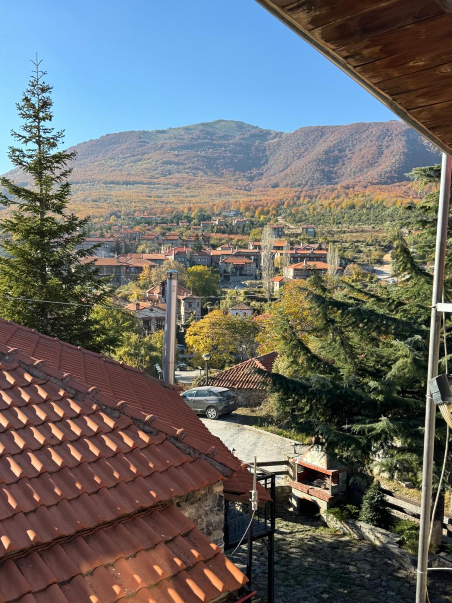 Chalet Asteras Tou Vorra 帕雷斯阿吉萨那 外观 照片