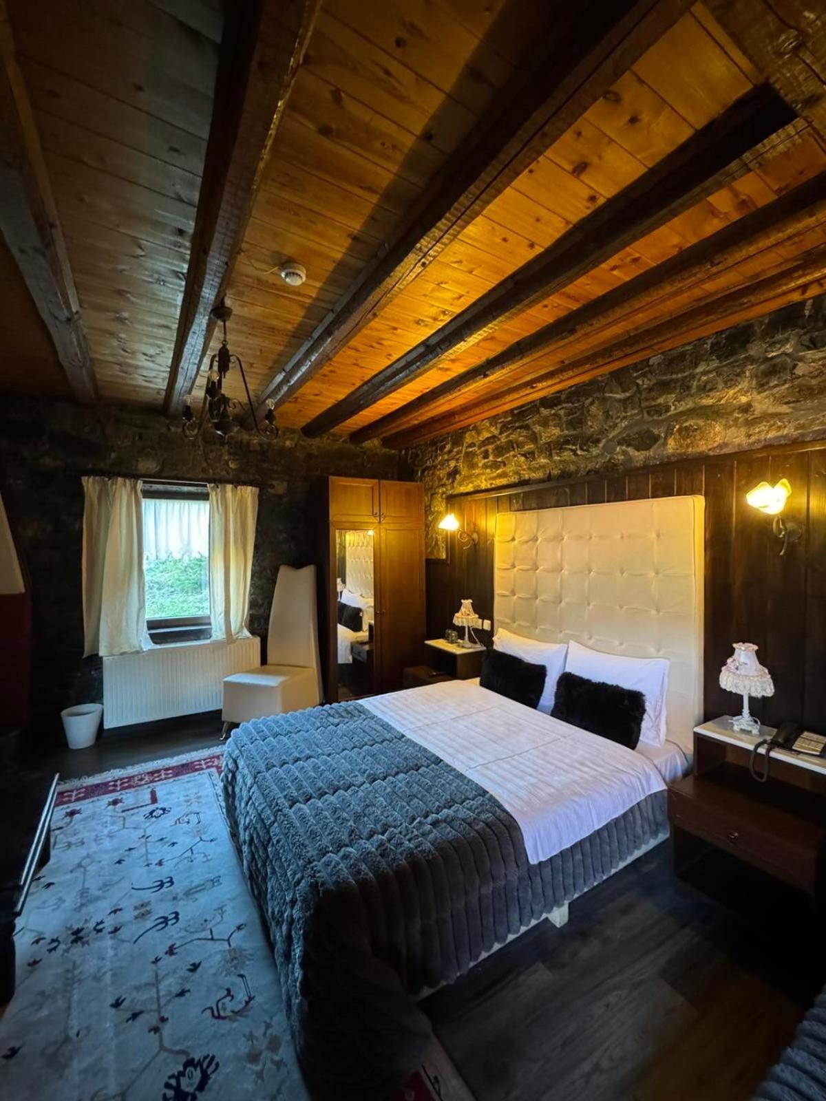 Chalet Asteras Tou Vorra 帕雷斯阿吉萨那 外观 照片